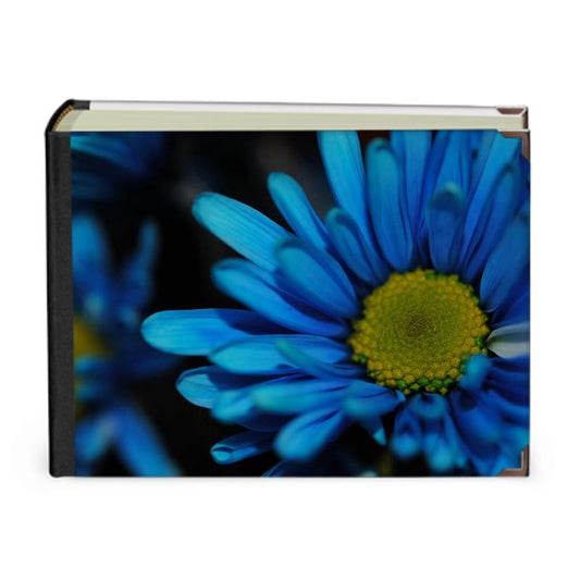 Blue Daisy Photo Album