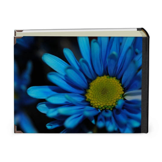 Blue Daisy Photo Album