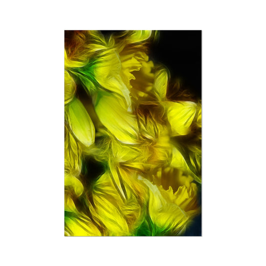 Abstract Yellow Daffodils Hahnemühle Photo Rag Print