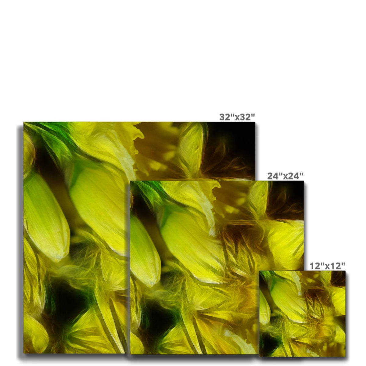 Abstract Yellow Daffodils Canvas