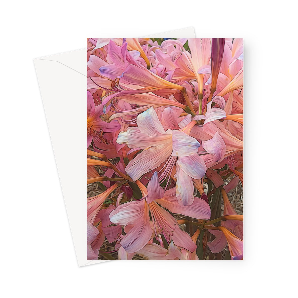 Pink Amaryllis Greeting Card