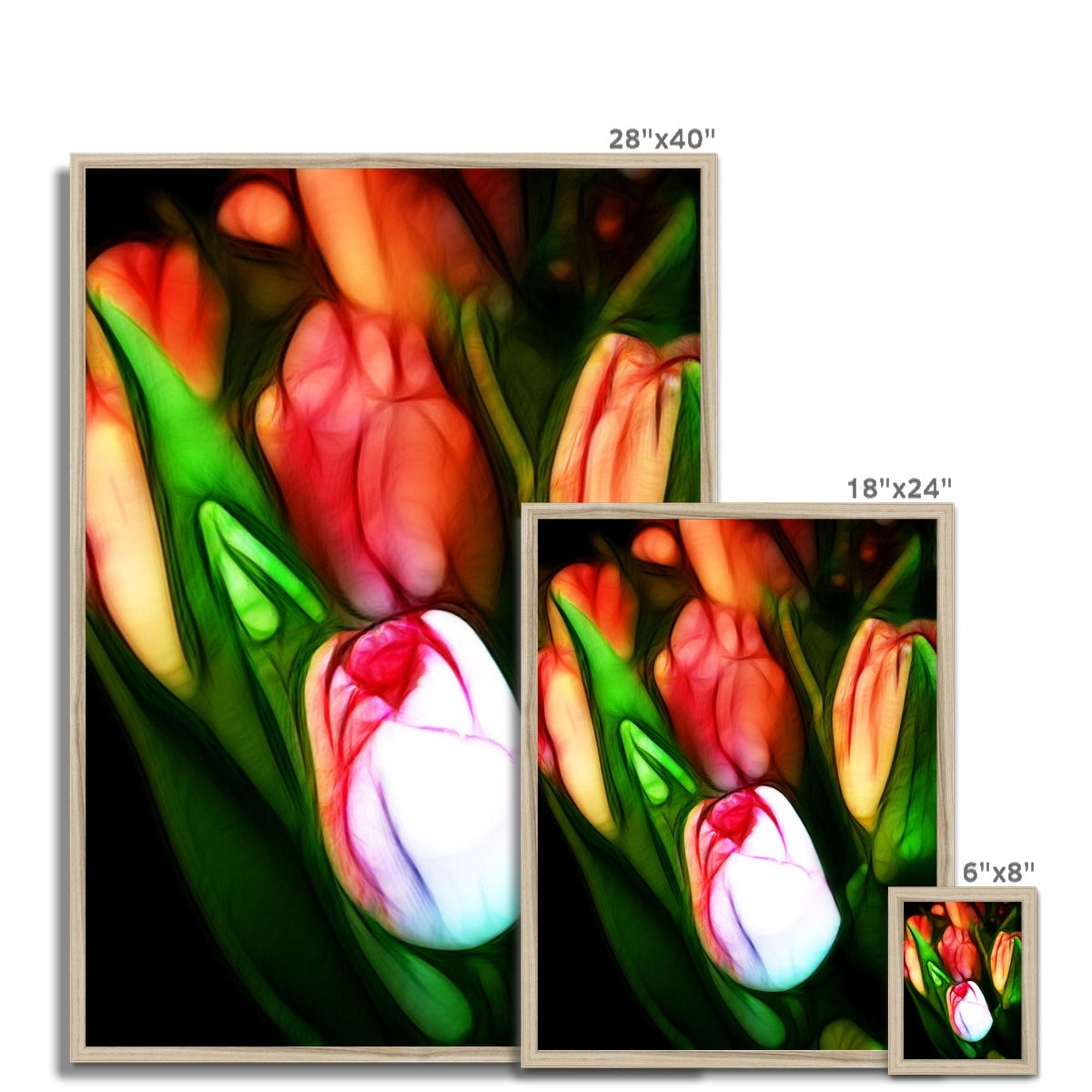 Pink Tulips Framed Print