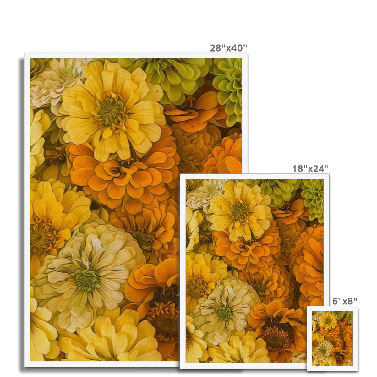 Yellow Zinnias Framed Print