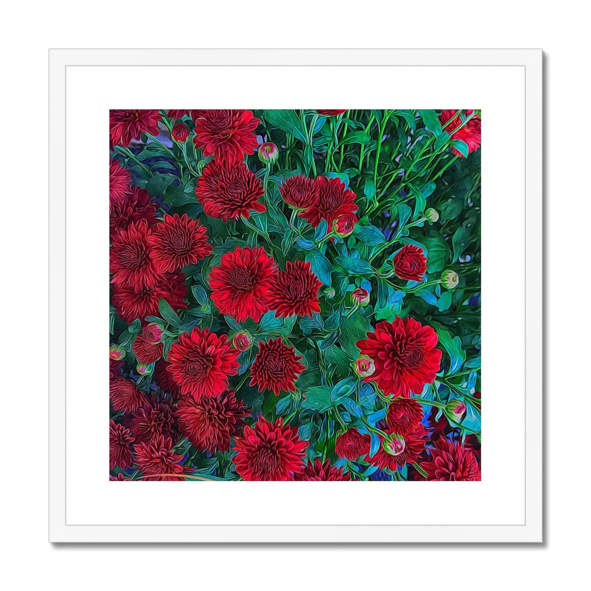 Red Mums Framed & Mounted Print