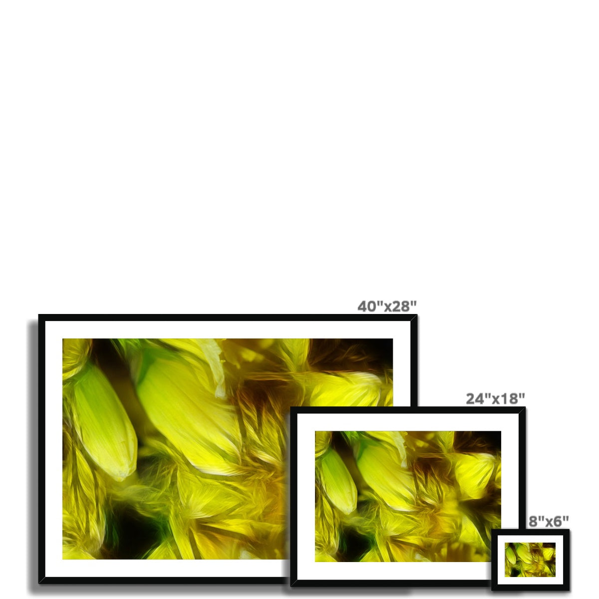 Abstract Yellow Daffodils Framed & Mounted Print