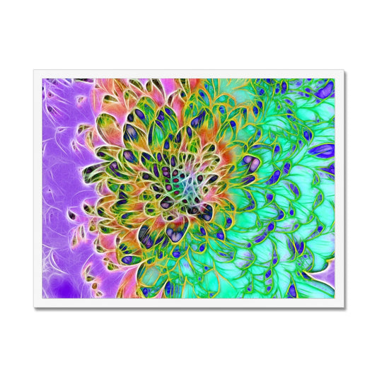 Abstract Peacock Chrysanthemum Framed Print