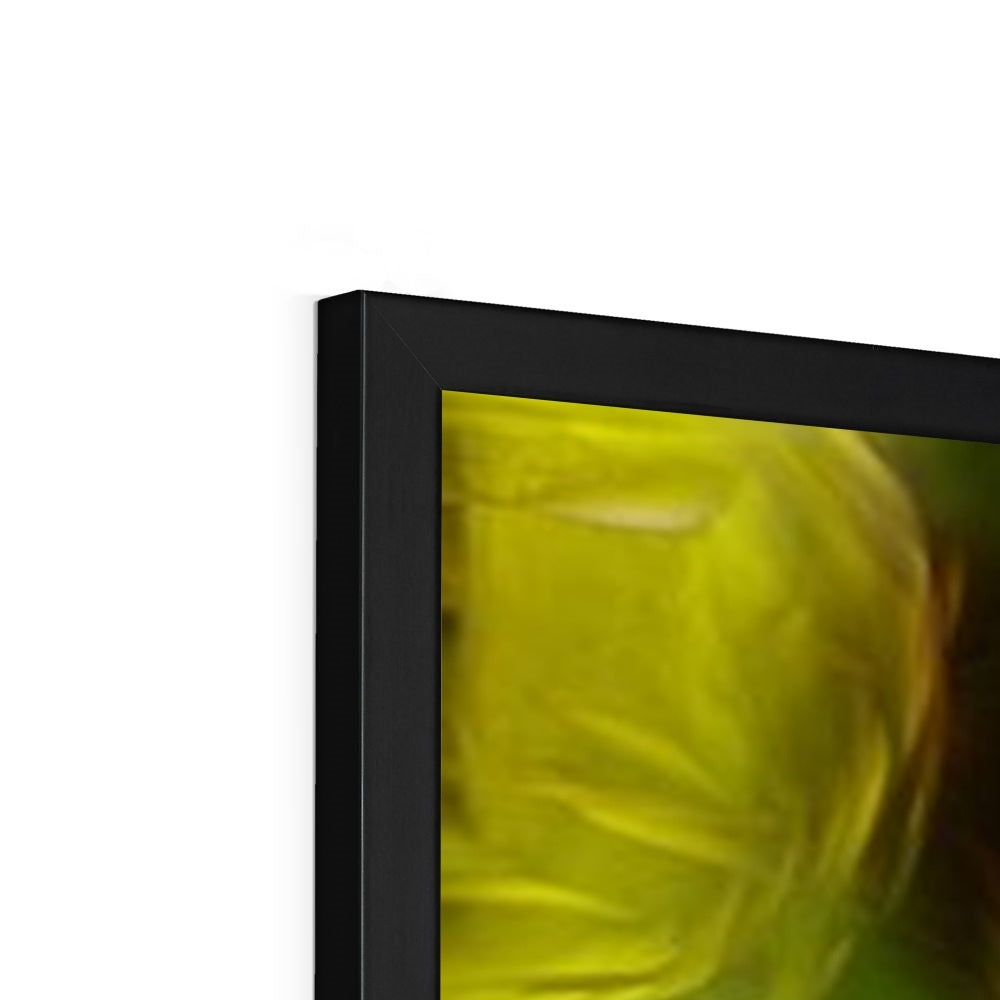 Abstract Yellow Daffodils Framed Print