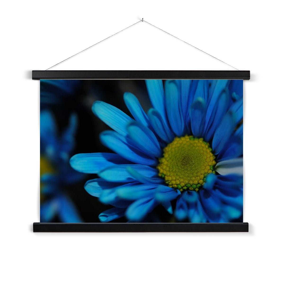Blue Daisy Fine Art Print with Hanger