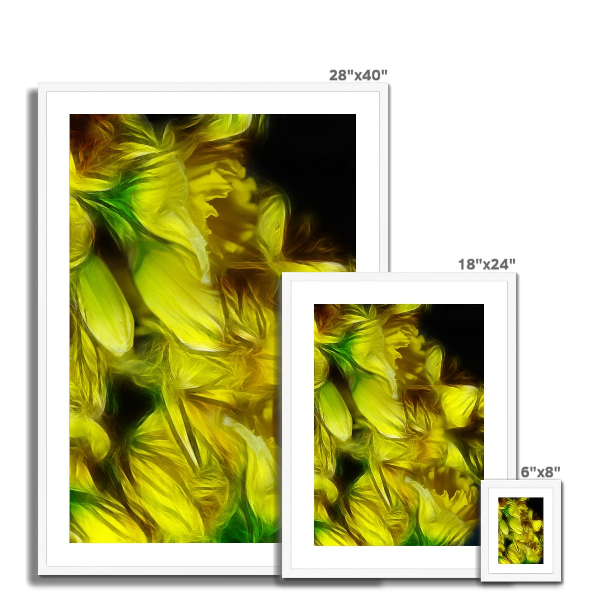Abstract Yellow Daffodils Framed & Mounted Print