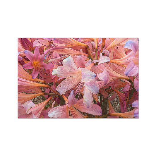 Pink Amaryllis Fine Art Print