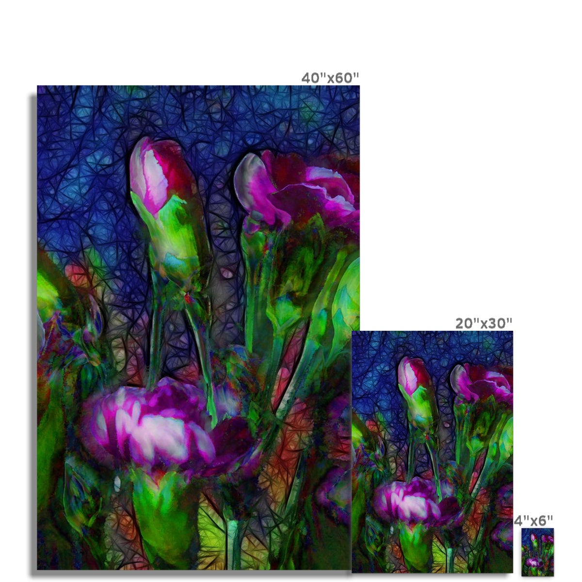 Abstract Pink Carnations Hahnemühle Photo Rag Print