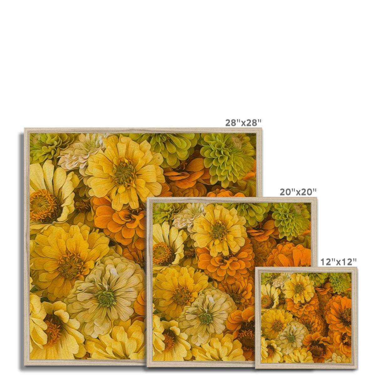 Yellow Zinnias Framed Print