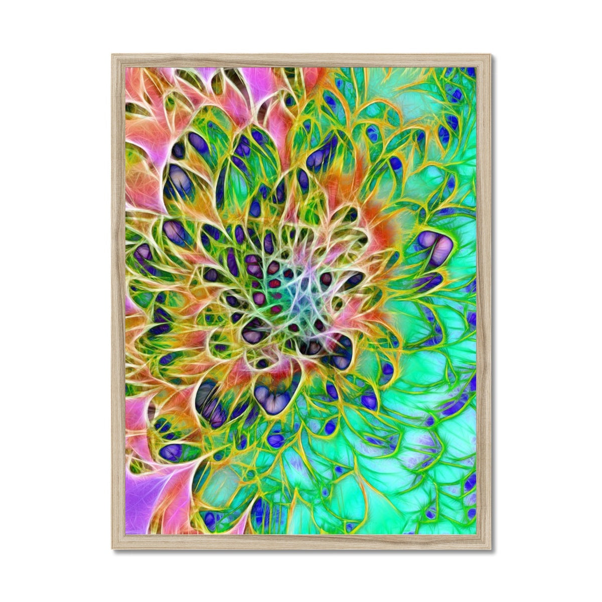 Abstract Peacock Chrysanthemum Framed Print