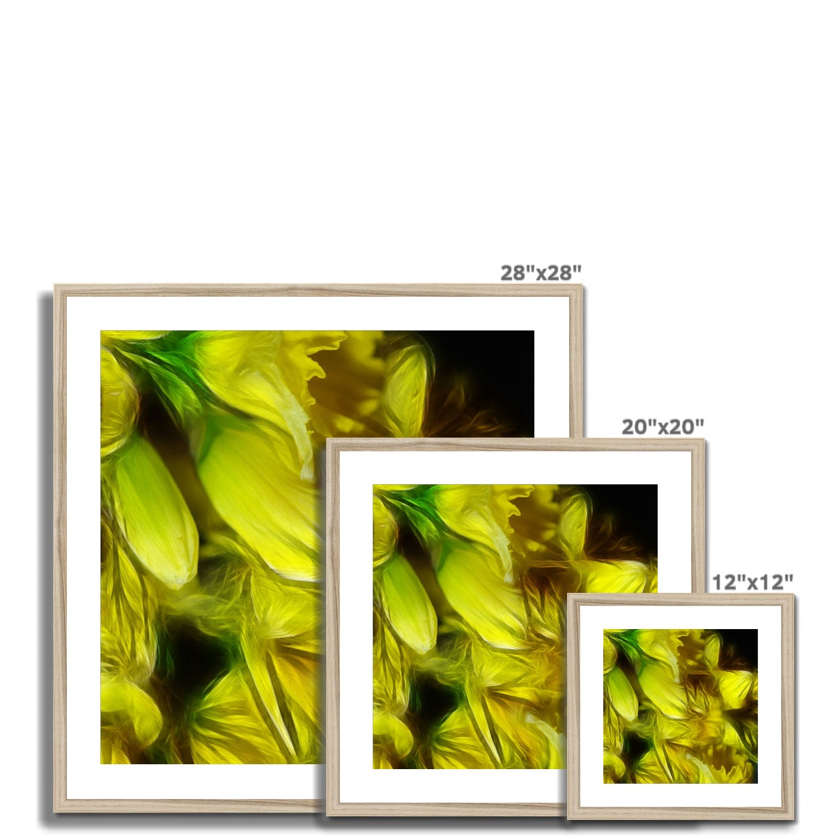 Abstract Yellow Daffodils Framed & Mounted Print