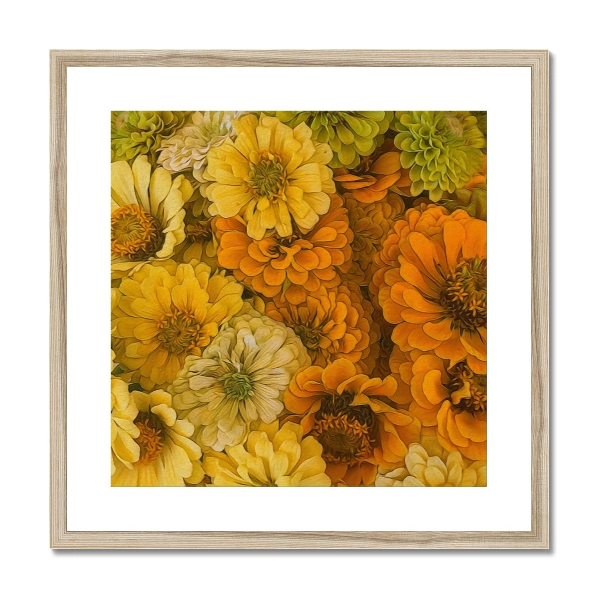 Yellow Zinnias Framed & Mounted Print
