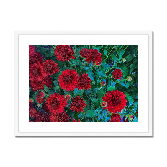 Red Mums Framed & Mounted Print
