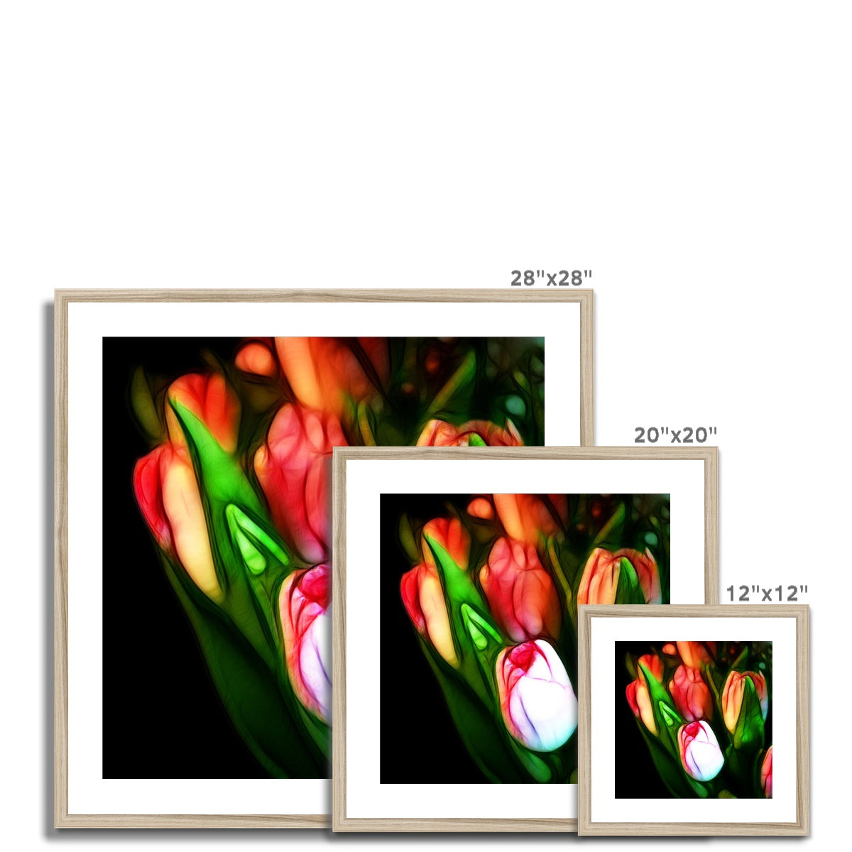 Pink Tulips Framed & Mounted Print