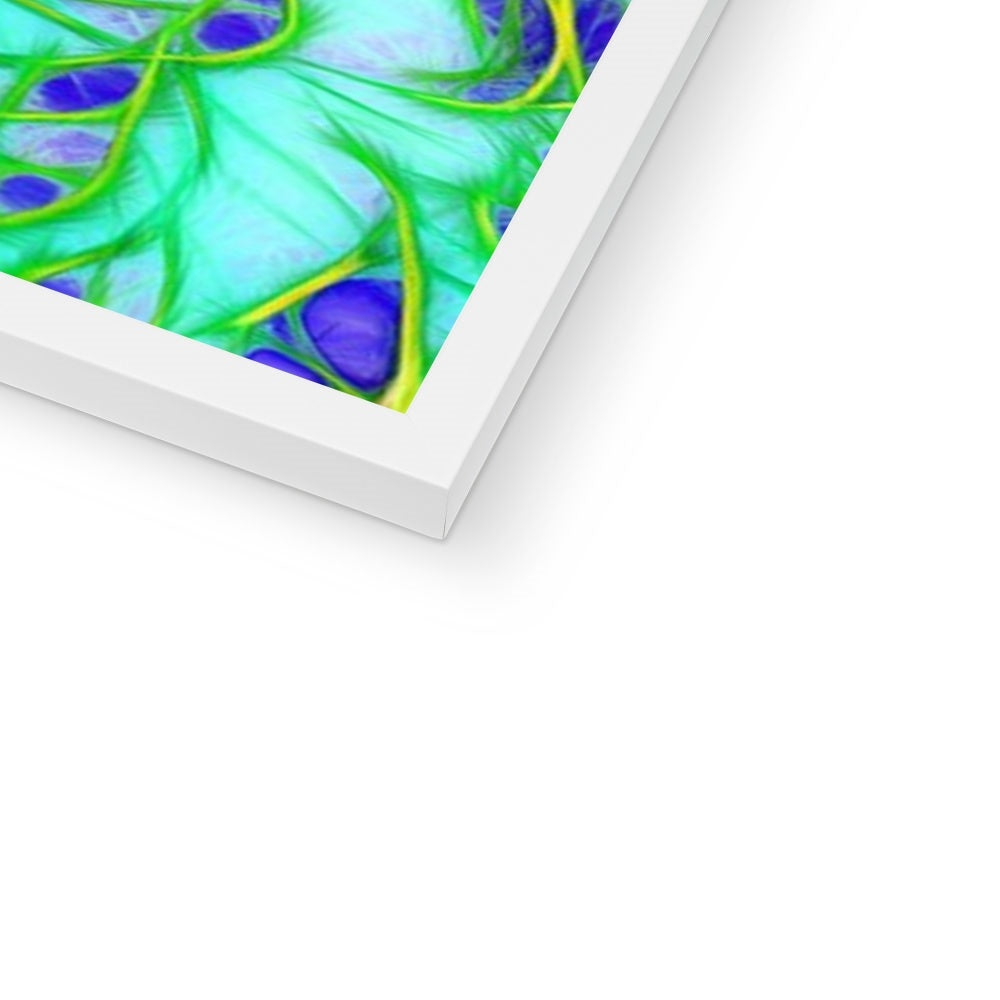 Abstract Peacock Chrysanthemum Framed Print
