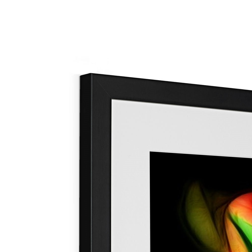 Pink Tulips Framed & Mounted Print