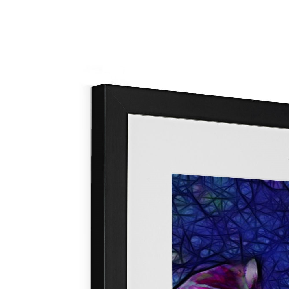 Abstract Pink Carnations Framed & Mounted Print
