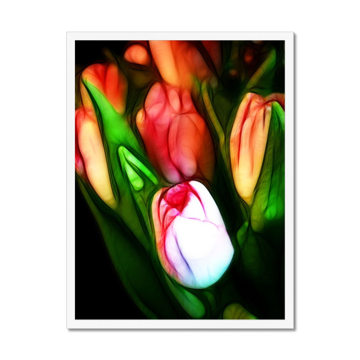 Pink Tulips Framed Print