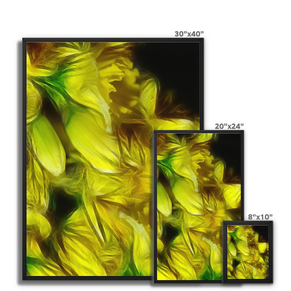 Abstract Yellow Daffodils Framed Canvas