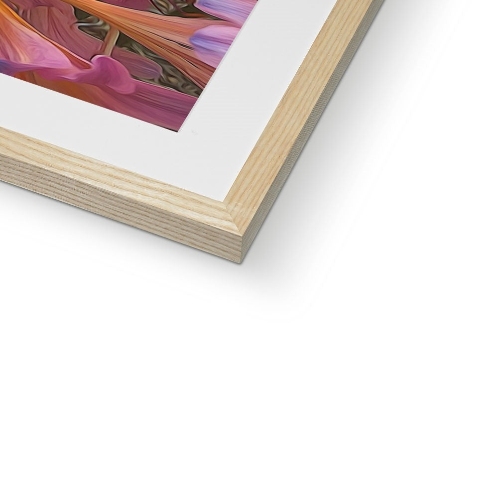 Pink Amaryllis Framed & Mounted Print