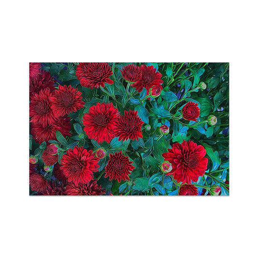 Red Mums Hahnemühle Photo Rag Print