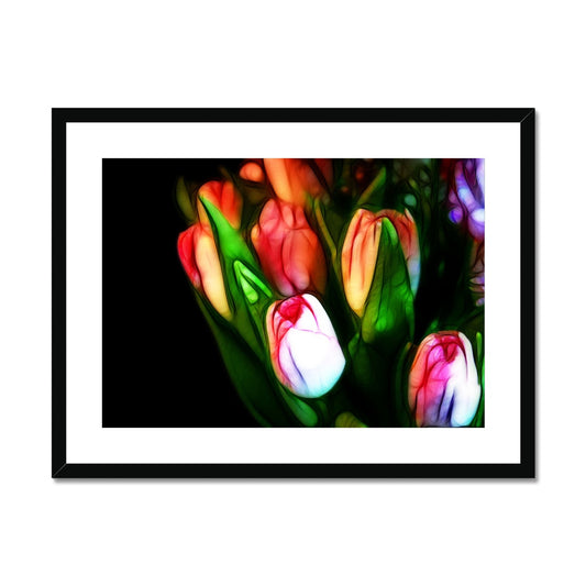 Pink Tulips Framed & Mounted Print