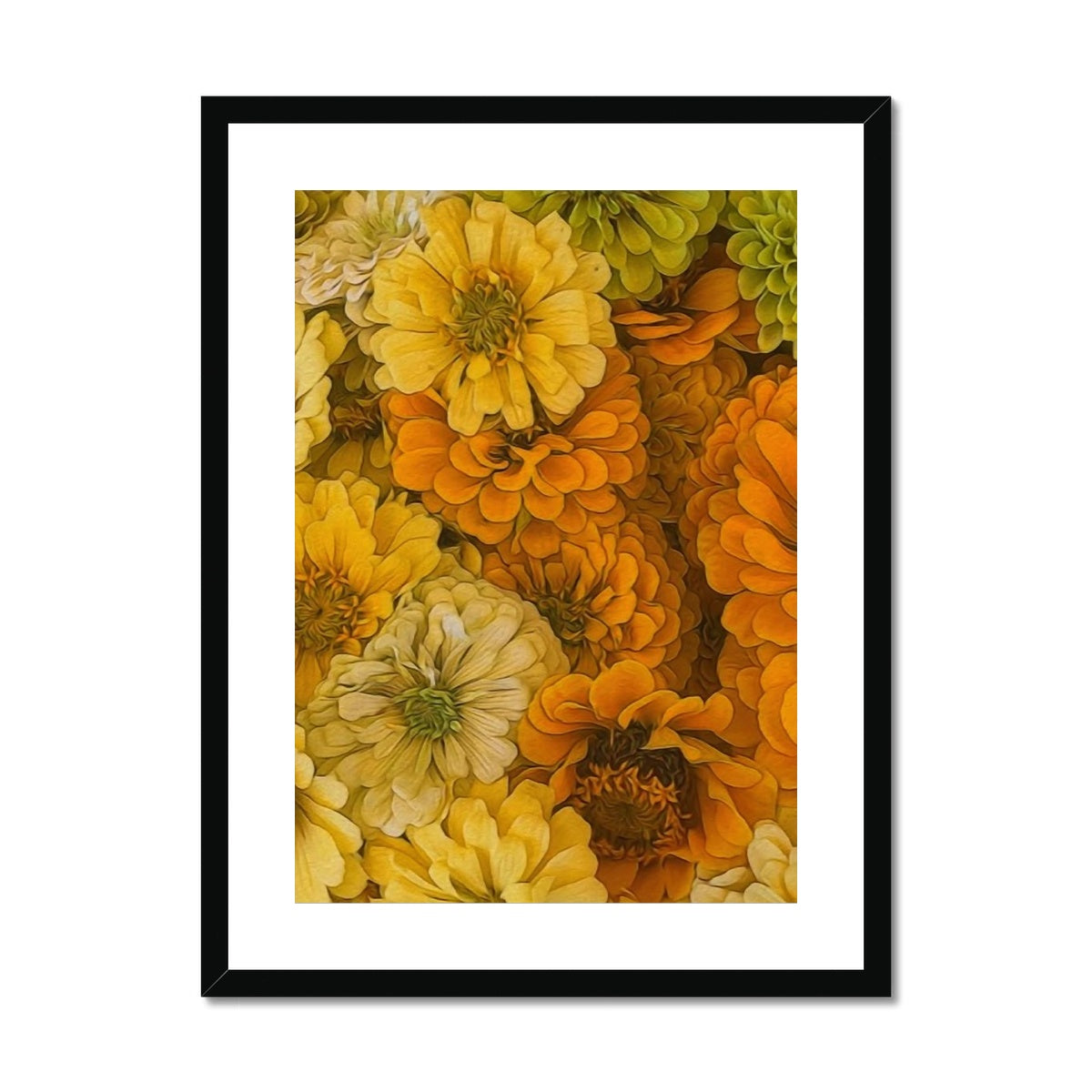 Yellow Zinnias Framed & Mounted Print