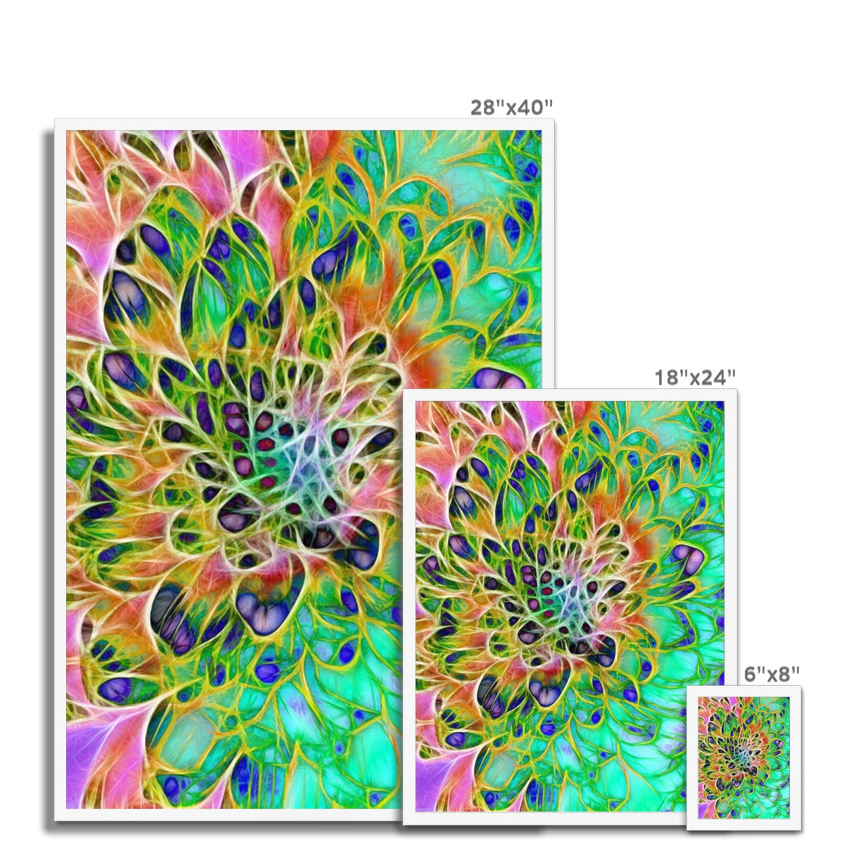 Abstract Peacock Chrysanthemum Framed Print