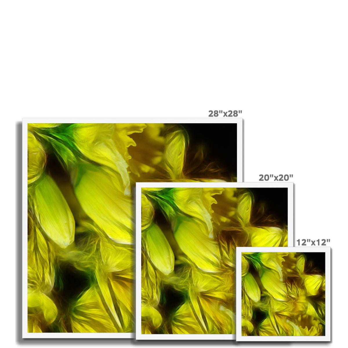 Abstract Yellow Daffodils Framed Print