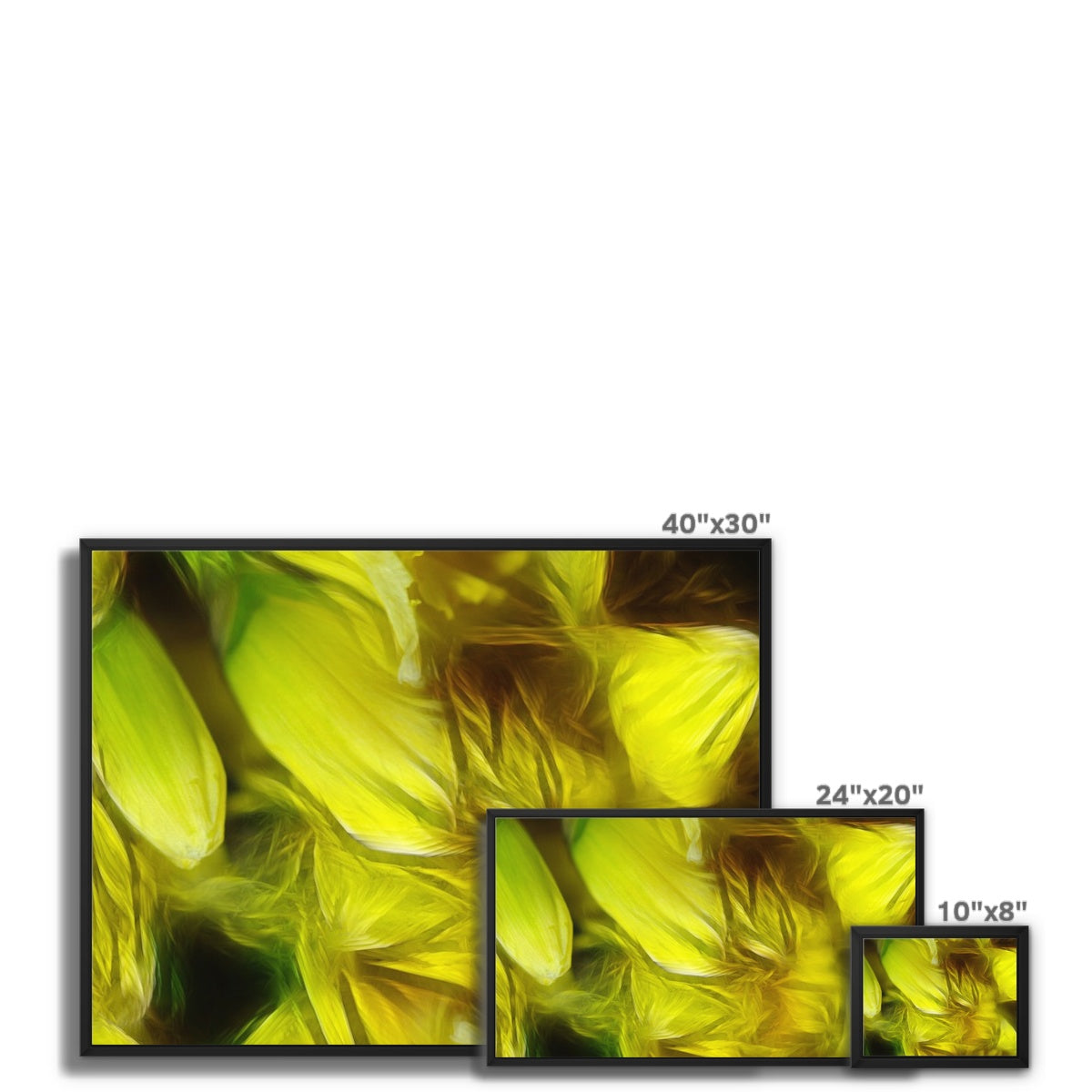 Abstract Yellow Daffodils Framed Canvas