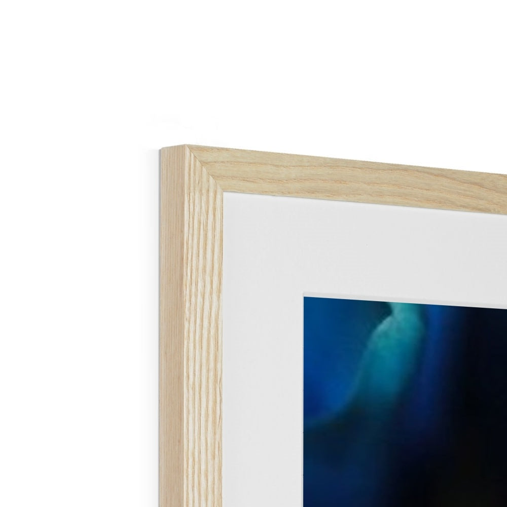 Blue Daisy Framed & Mounted Print