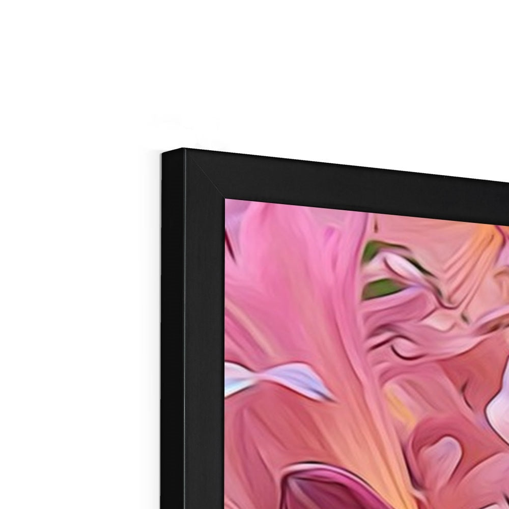 Pink Amaryllis Framed Print