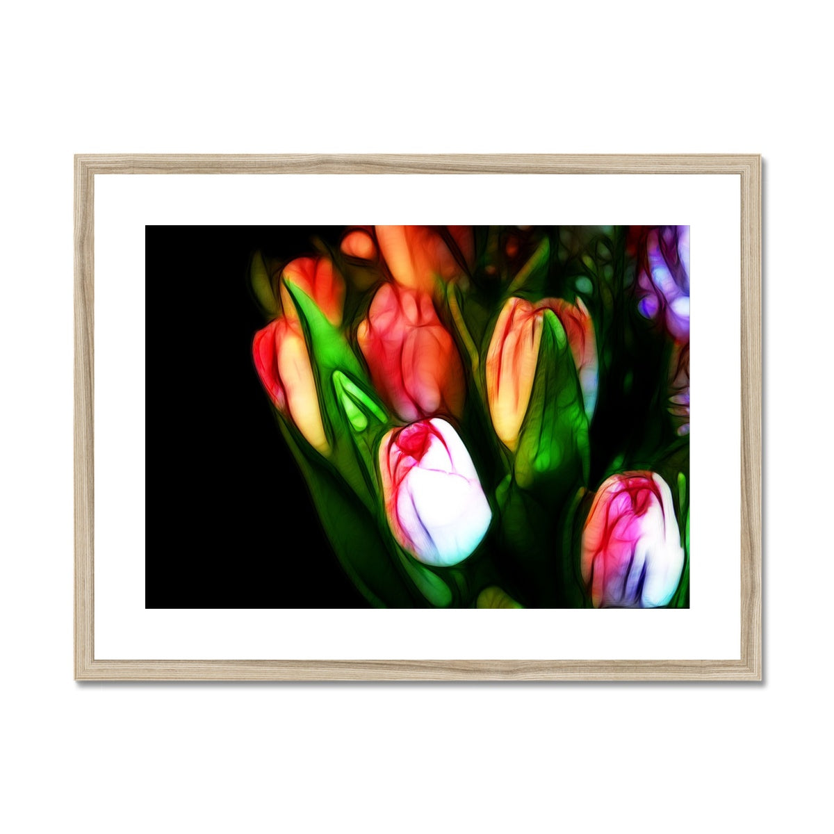 Pink Tulips Framed & Mounted Print