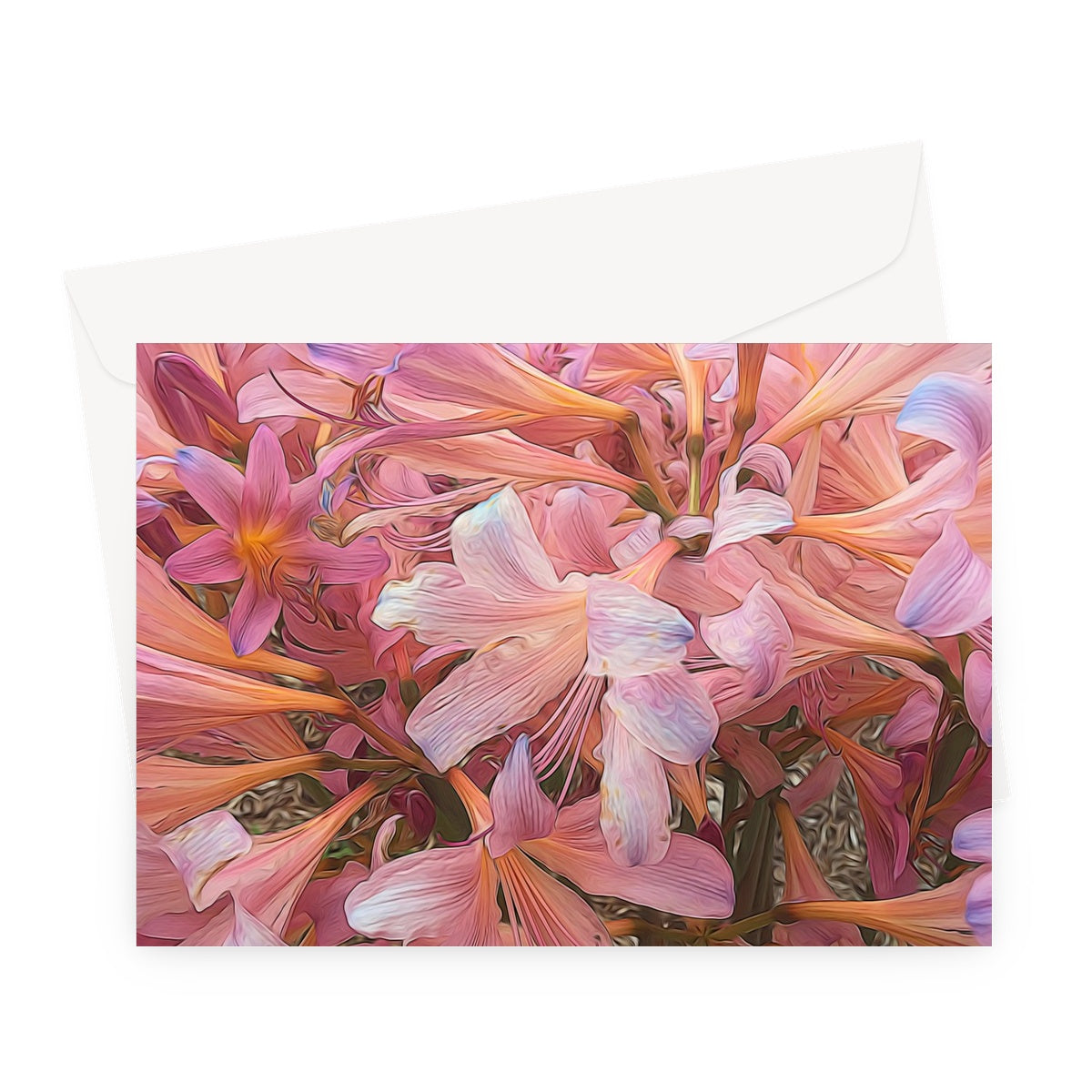 Pink Amaryllis Greeting Card