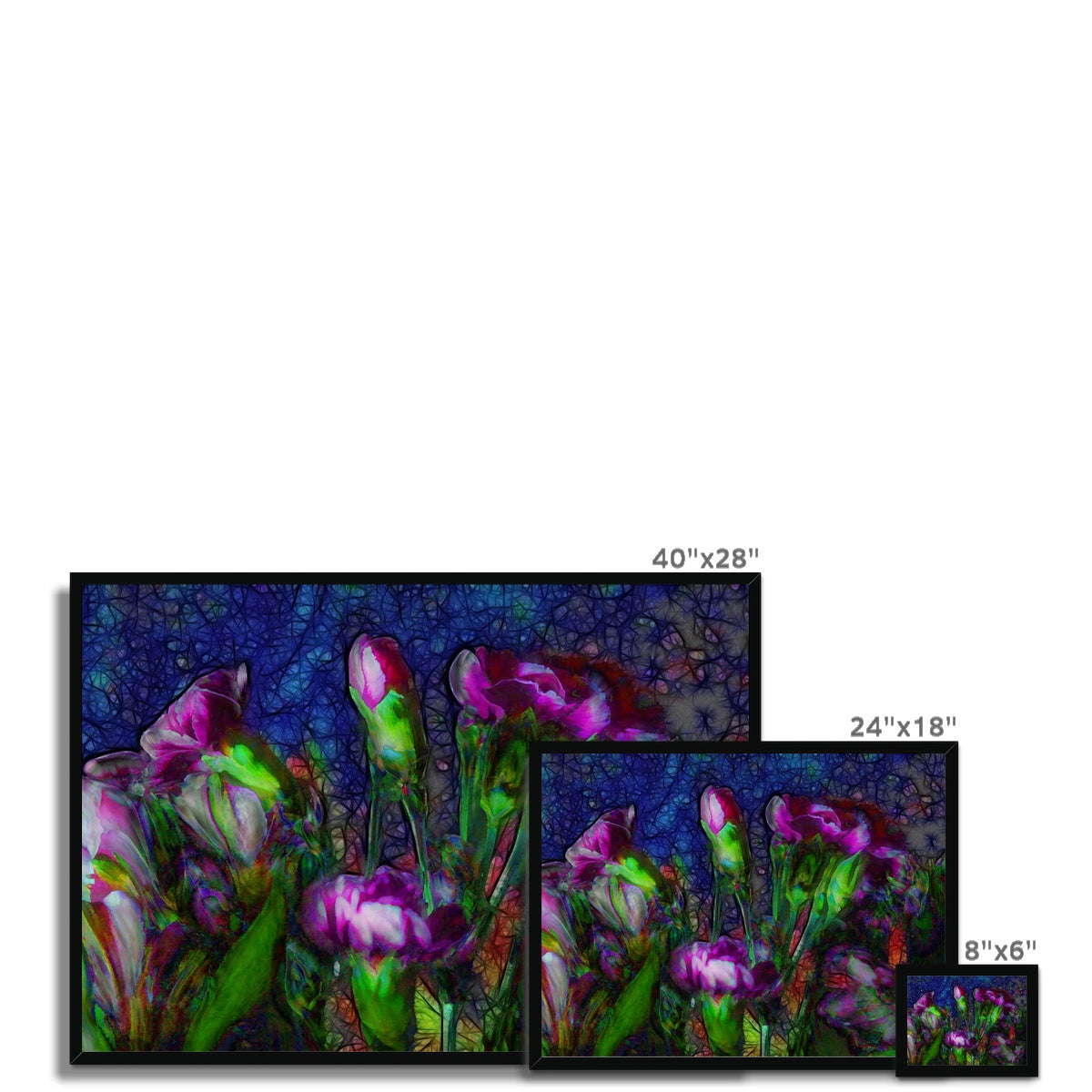 Abstract Pink Carnations Framed Print