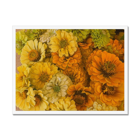 Yellow Zinnias Framed Print