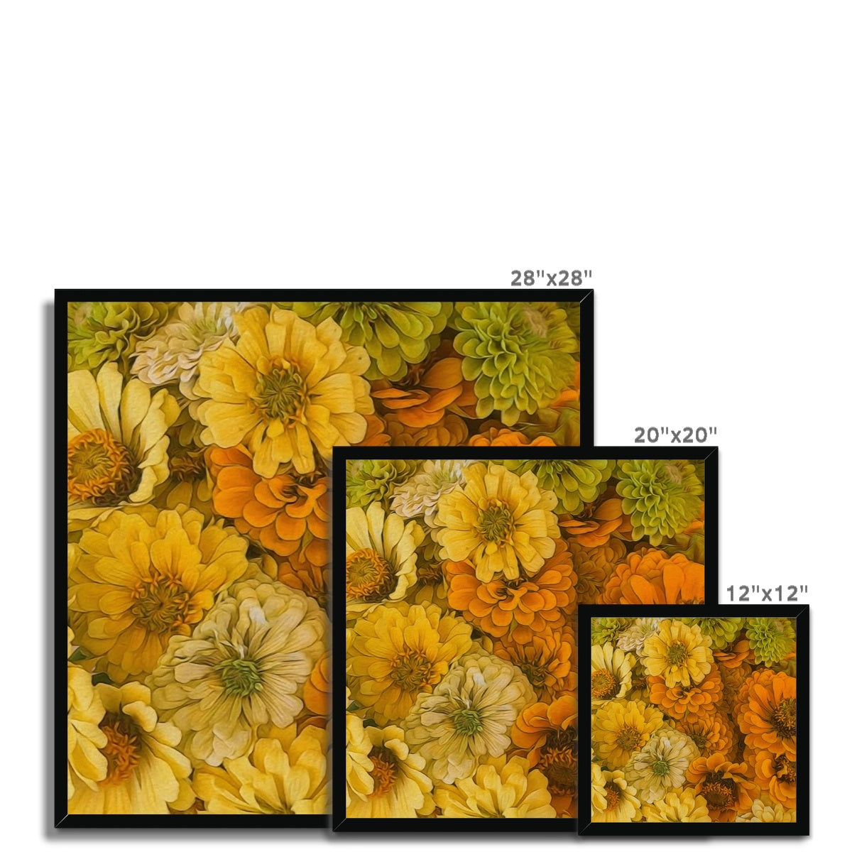 Yellow Zinnias Framed Print