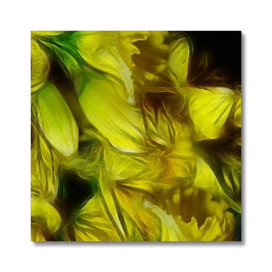 Abstract Yellow Daffodils Canvas