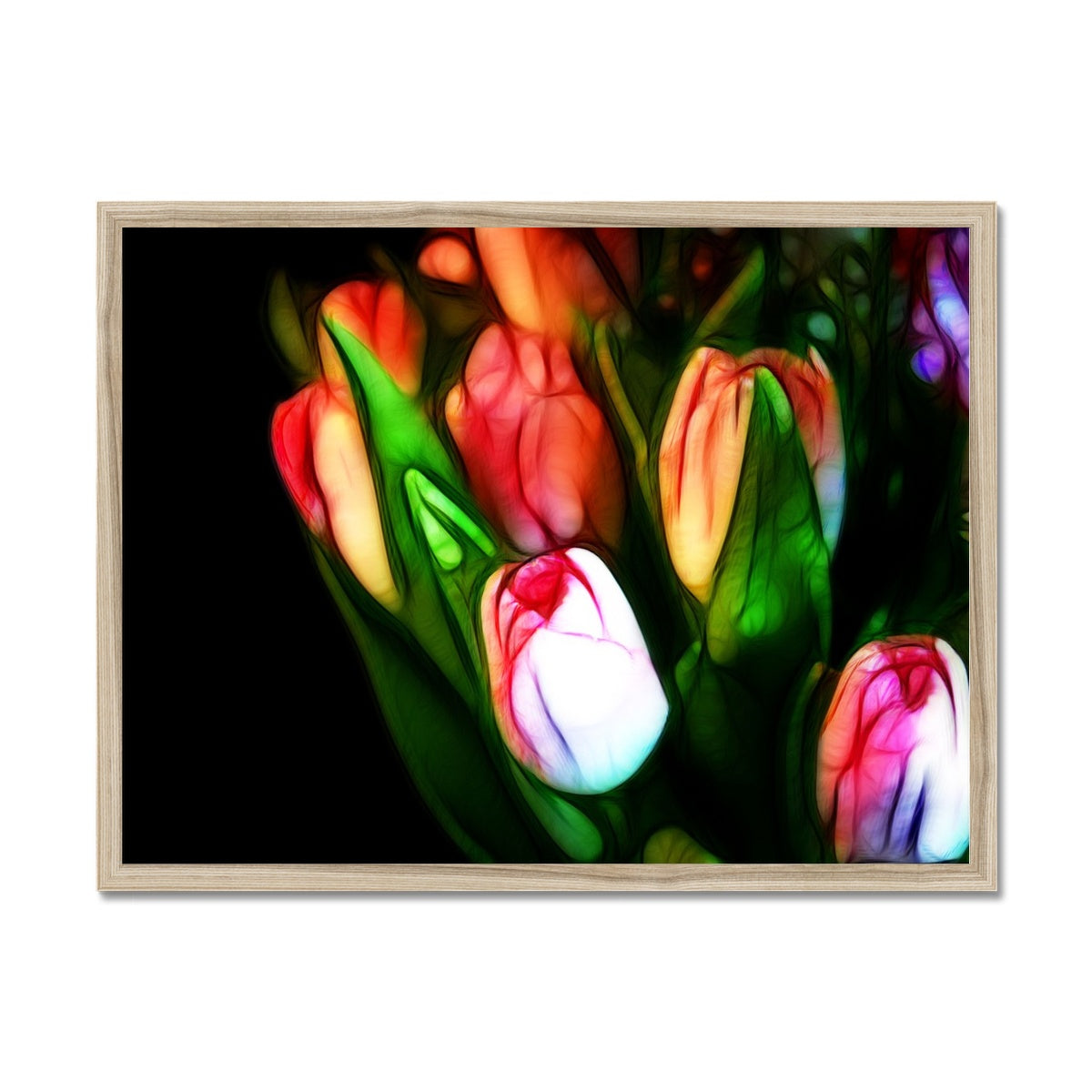 Pink Tulips Framed Print