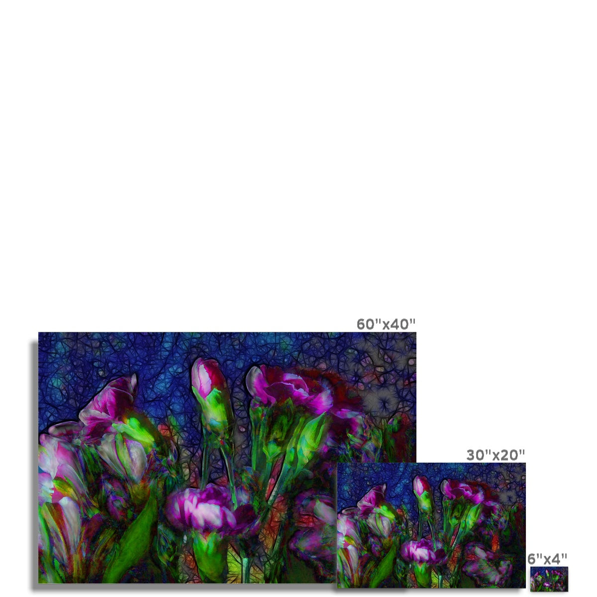 Abstract Pink Carnations Hahnemühle Photo Rag Print