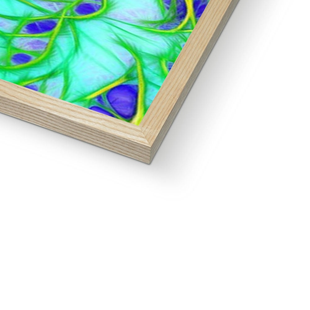 Abstract Peacock Chrysanthemum Framed Print