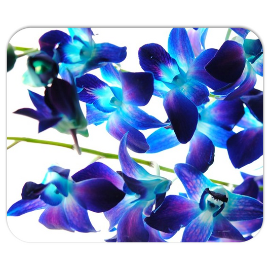 Purple Orchids Mousepads