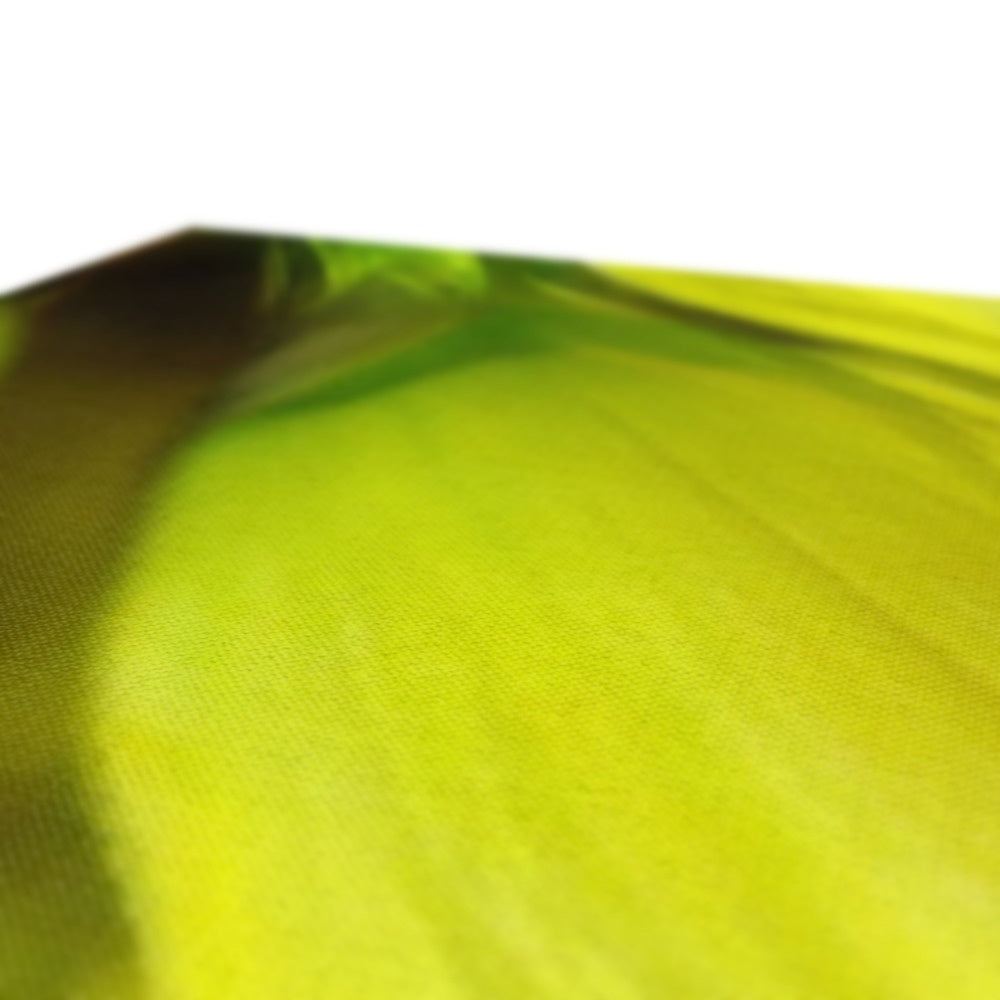Abstract Yellow Daffodils Canvas