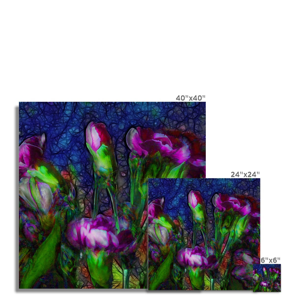 Abstract Pink Carnations Hahnemühle Photo Rag Print