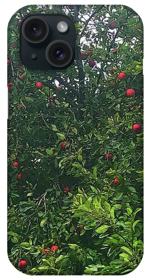Apple Tree Close Up - Phone Case