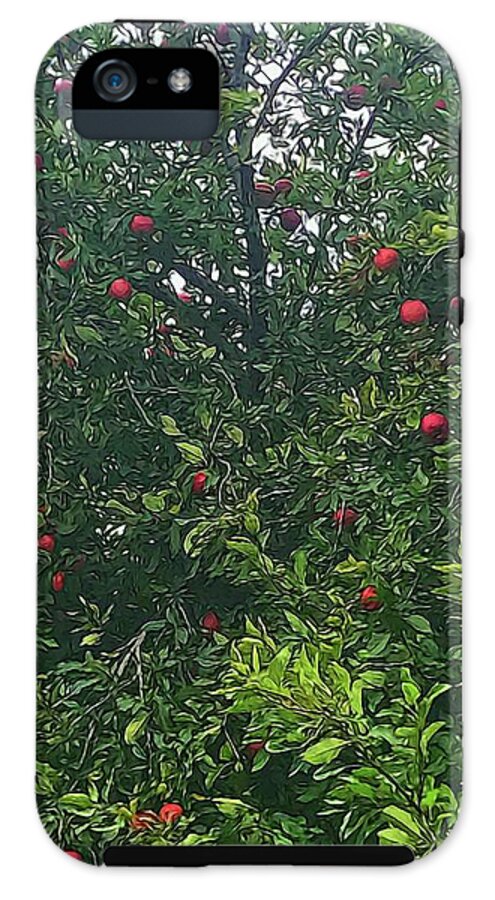 Apple Tree Close Up - Phone Case