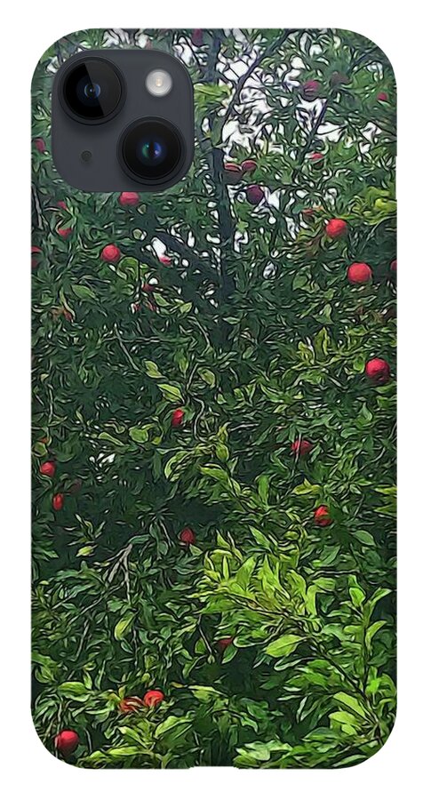 Apple Tree Close Up - Phone Case